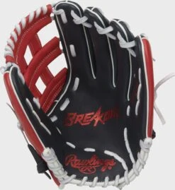 Rawlings 2022 Breakout 12-Inch Youth Outfield Glove -Rawin Shop BOYPT6 6NS 1