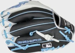 Rawlings 2022 Heart Of The Hide R2G 1-Piece Solid Web Glove -Rawin Shop PROR204 8BWSS 4