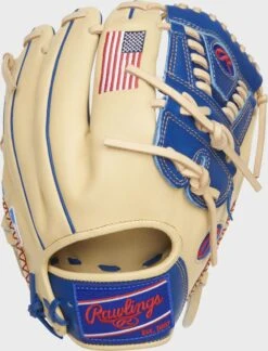 Rawlings Exclusive Heart Of The Hide R2G Infield/Pitcher's Glove -Rawin Shop PROR205 30CR 2