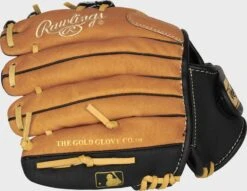 Rawlings Sure Catch 10-Inch Youth I-Web Glove -Rawin Shop SC100TBI 4