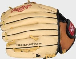 Rawlings Sure Catch 10.5-Inch Youth I-Web Glove 7 Rawlings Sure Catch 10.5-Inch Youth I-Web Glove -Rawin Shop SC105TCI 4